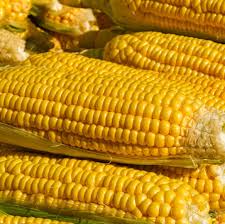 yellow corn